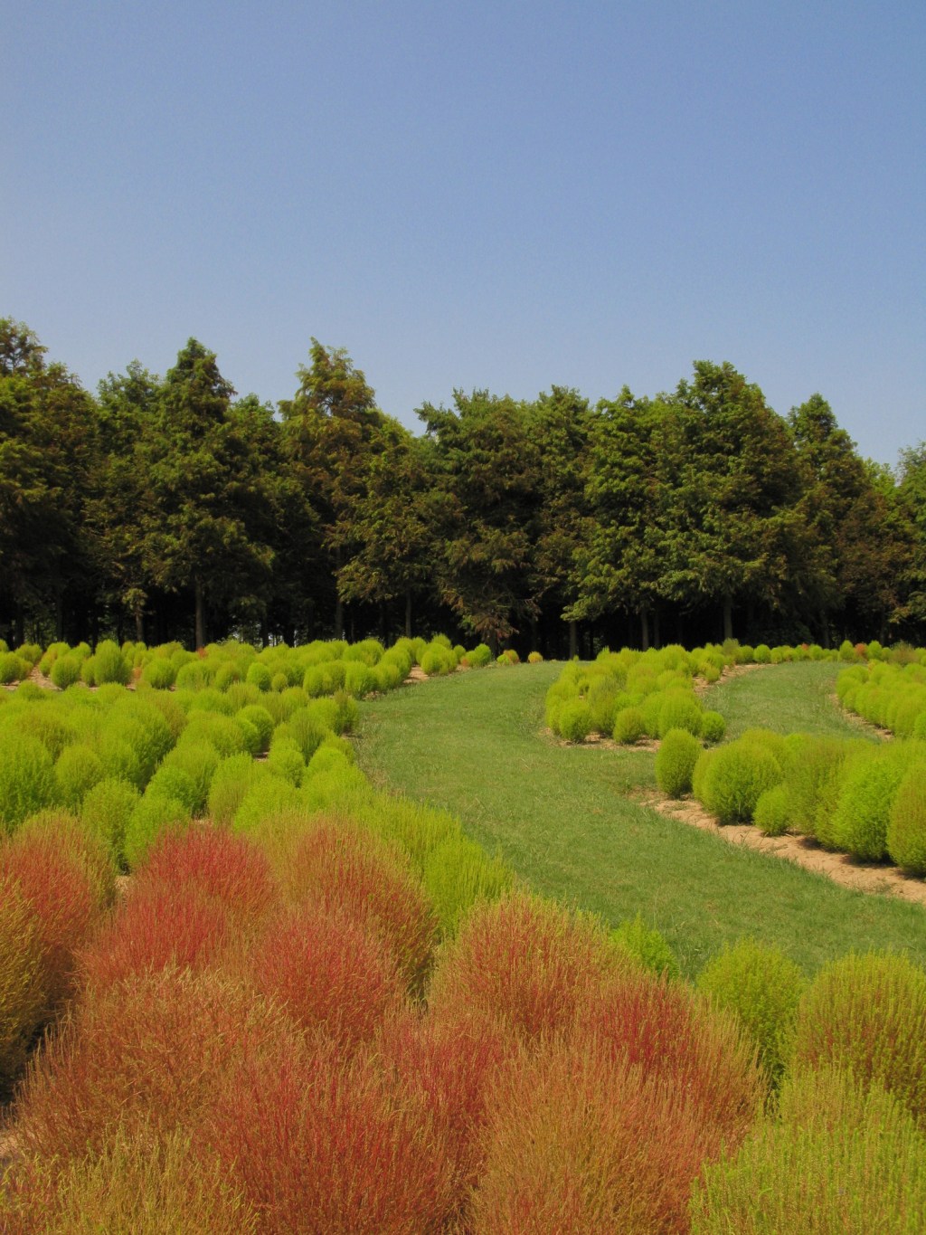 26th Aug – 2nd Sept | Shanghai – Chongming&nbsp;Island